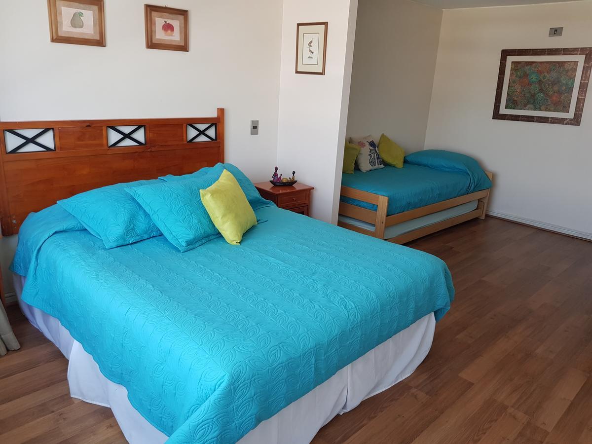 Pedro De Valdivia Apartment Providencia Santiago Kültér fotó